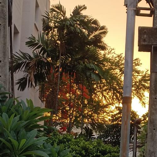 สมาชิกหมายเลข 7885377