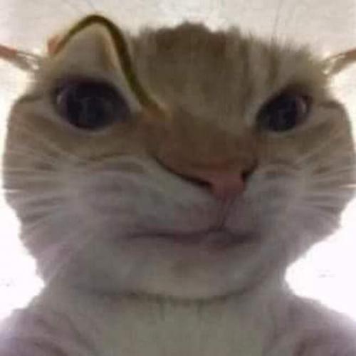 สมาชิกหมายเลข 4320000