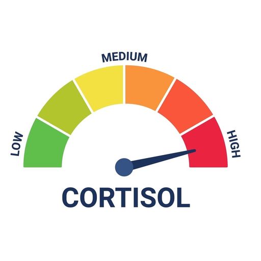 สมาชิกหมายเลข 9296997