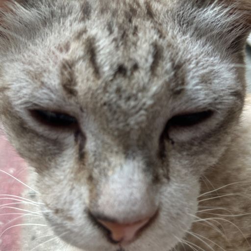 สมาชิกหมายเลข 9297147