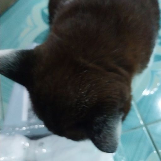 สมาชิกหมายเลข 9297883