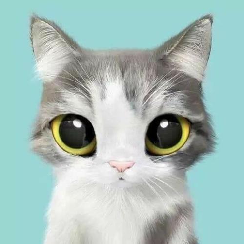 สมาชิกหมายเลข 4592647