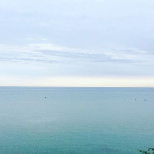 สมาชิกหมายเลข 2576136