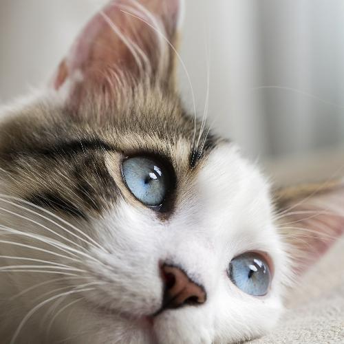 สมาชิกหมายเลข 4927046