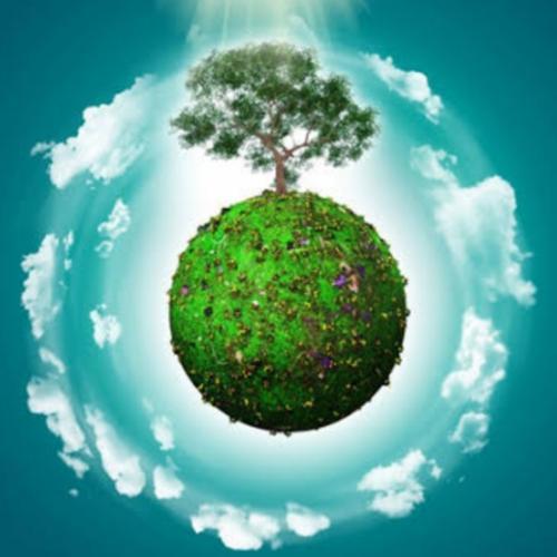 สมาชิกหมายเลข 5337547