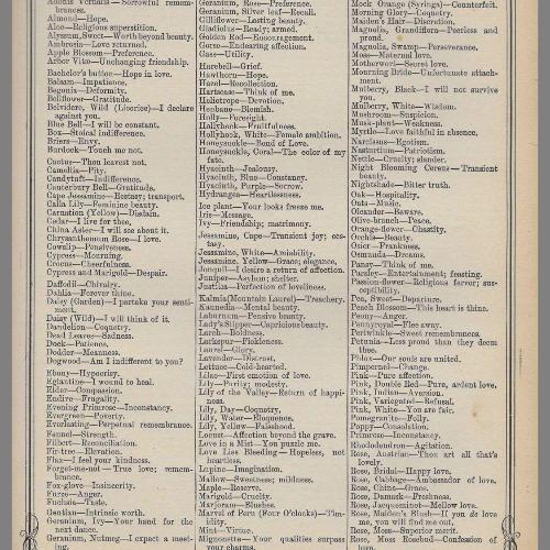 สมาชิกหมายเลข 5096958