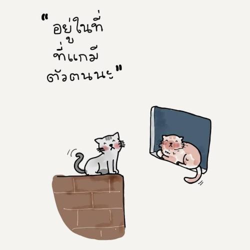 สมาชิกหมายเลข 3997029