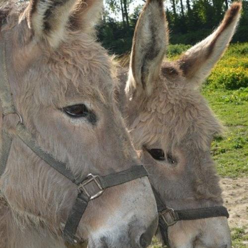 สมาชิกหมายเลข 6413324