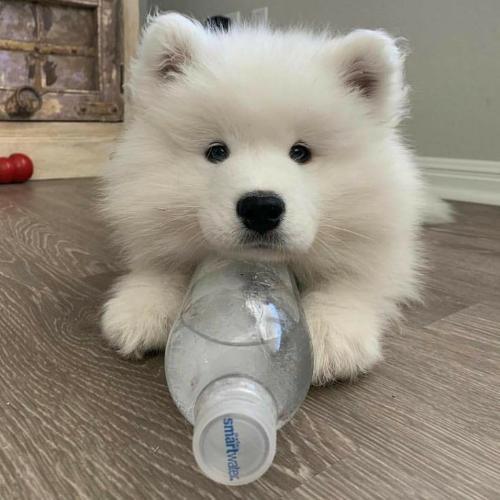 สมาชิกหมายเลข 7104740