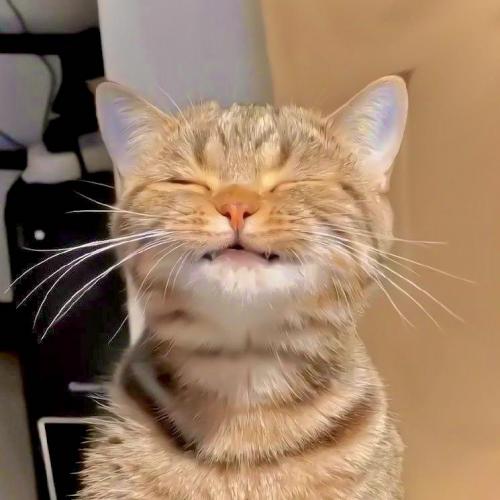 สมาชิกหมายเลข 7546175