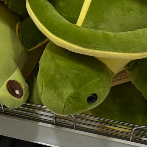 สมาชิกหมายเลข 8895428