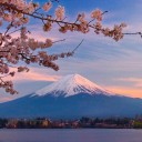 สมาชิกหมายเลข 3726795