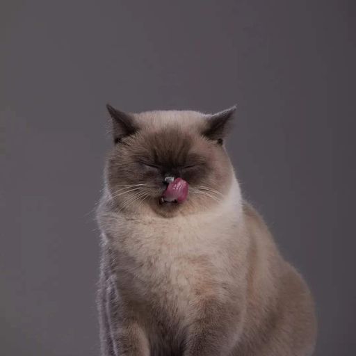 สมาชิกหมายเลข 3133869