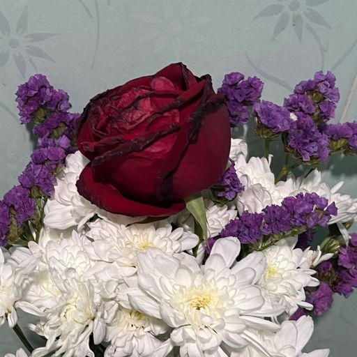 สมาชิกหมายเลข 8088898