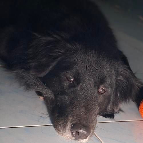 สมาชิกหมายเลข 8434589