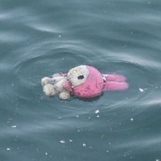 ทิวาธาราทิวลิป