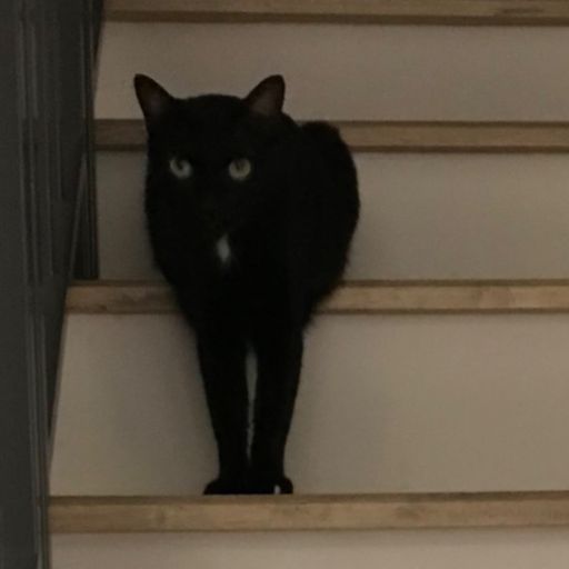 สมาชิกหมายเลข 9299562