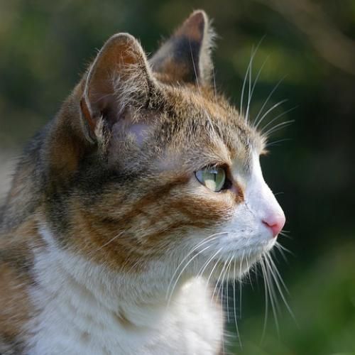 สมาชิกหมายเลข 9299994