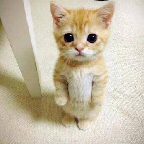 สมาชิกหมายเลข 2957025