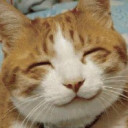 สมาชิกหมายเลข 3235072