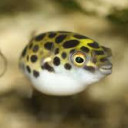 สมาชิกหมายเลข 3429438