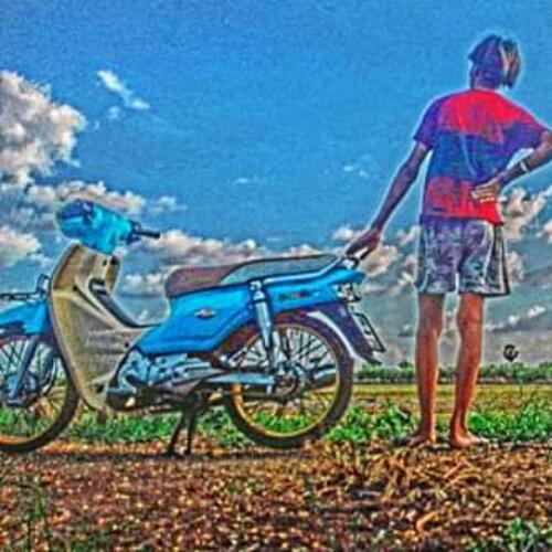 สมาชิกหมายเลข 4904292