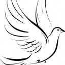 สมาชิกหมายเลข 4287054