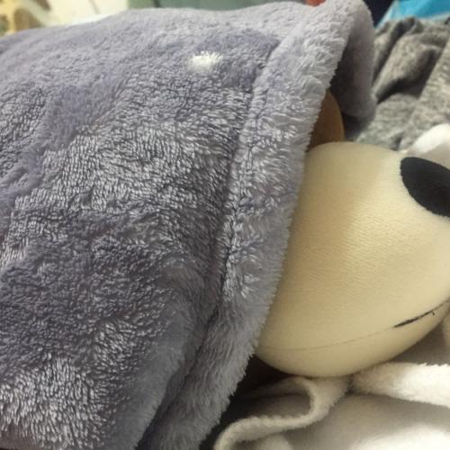 สมาชิกหมายเลข 911248