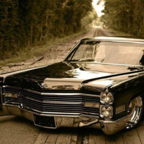 สมาชิกหมายเลข 5810559