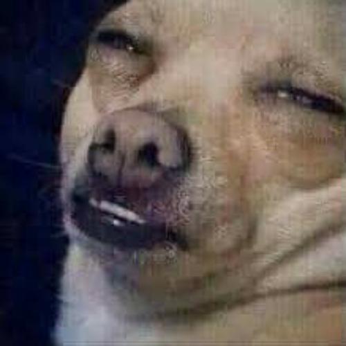 สมาชิกหมายเลข 5811204