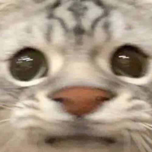 สมาชิกหมายเลข 4241447