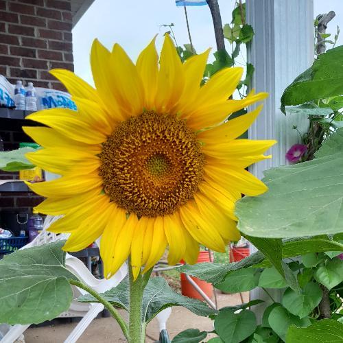 สมาชิกหมายเลข 7678027