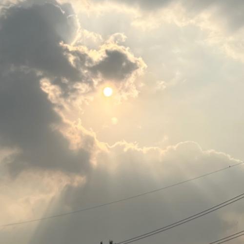 สมาชิกหมายเลข 7947502