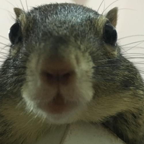 สมาชิกหมายเลข 8898160