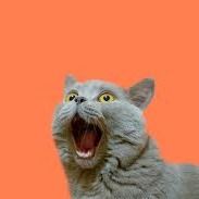 สมาชิกหมายเลข 8068644