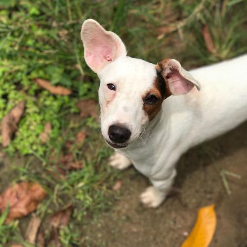 สมาชิกหมายเลข 4593258