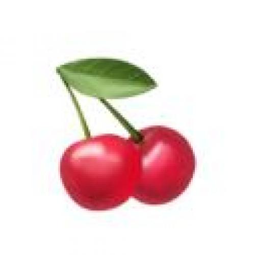 สมาชิกหมายเลข 4593298