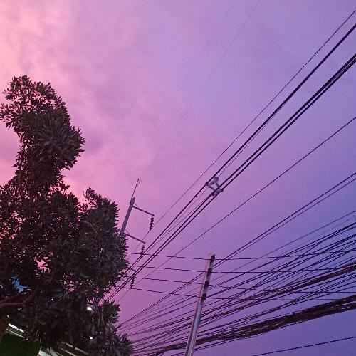 สมาชิกหมายเลข 4957111