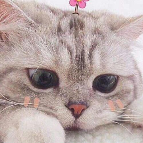 สมาชิกหมายเลข 5805224