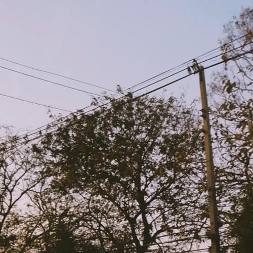 สมาชิกหมายเลข 5811770