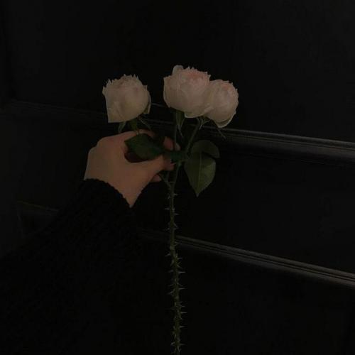 สมาชิกหมายเลข 6392136