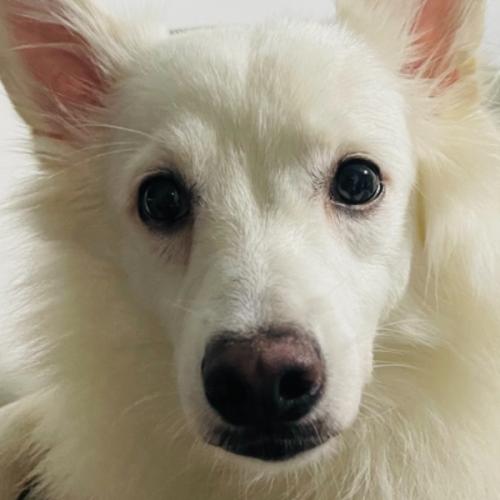 สมาชิกหมายเลข 6414366