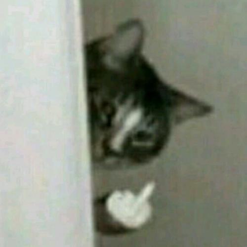 สมาชิกหมายเลข 6113691