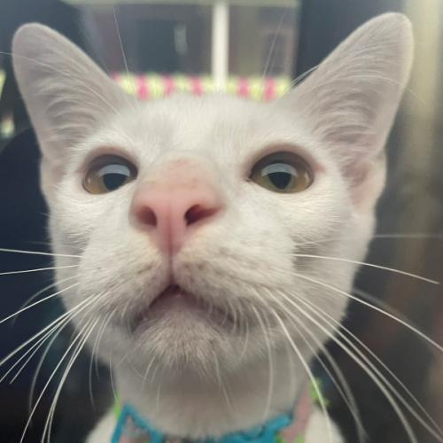 สมาชิกหมายเลข 3313829