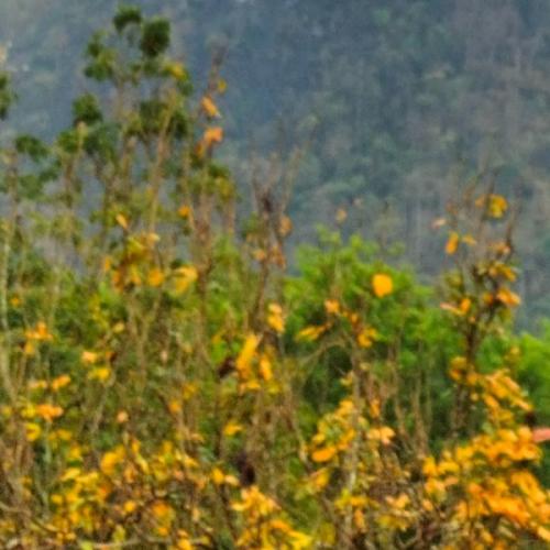 สมาชิกหมายเลข 7888254