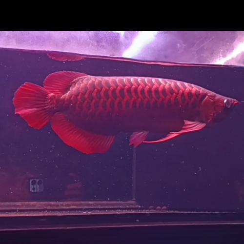 ชีวิตยังเดินต่อไป