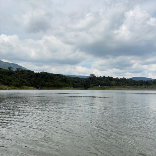 สมาชิกหมายเลข 4836795