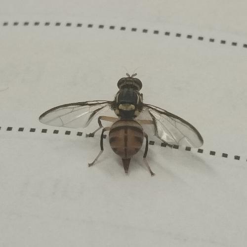 สมาชิกหมายเลข 8900492