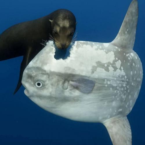 สมาชิกหมายเลข 8900756