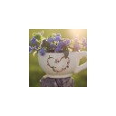 สมาชิกหมายเลข 2405117